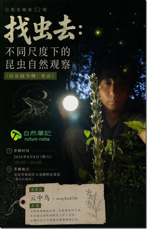 1云中鸟